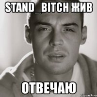 stand_bitch жив отвечаю