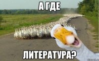 а где литература?