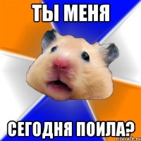 ты меня сегодня поила?