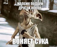  воняет сука жалсик подари другой носок