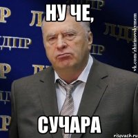 ну че, сучара