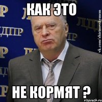 как это не кормят ?