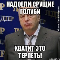 надоели срущие голуби хватит это терпеть!