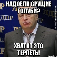 надоели срущие голуби? хватит это терпеть!