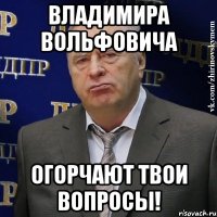 владимира вольфовича огорчают твои вопросы!