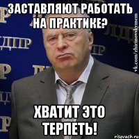 заставляют работать на практике? хватит это терпеть!