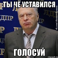 ты чё уставился голосуй