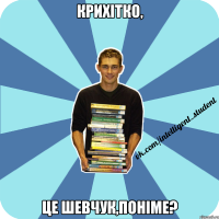 крихітко, це шевчук,поніме?