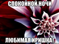 спокойной ночи любимая иришка!