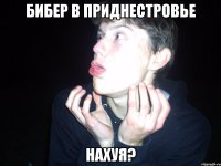 бибер в приднестровье нахуя?