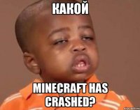 какой minecraft has crashed?