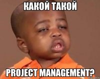 какой такой project management?