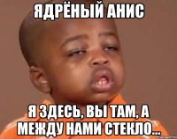ядрёный анис я здесь, вы там, а между нами стекло...