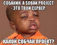 собакин, а sobak project - это твой сервер. какой собчак проект?