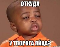 откуда у творога яйца?