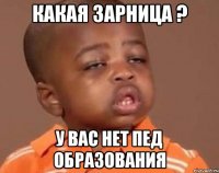 какая зарница ? у вас нет пед образования