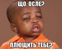 що, осле? плющить тебе?