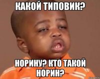 какой типовик? норину? кто такой норин?