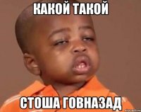 какой такой стоша говназад