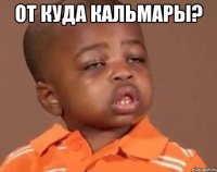 от куда кальмары? 