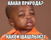 какая природа? какой шашлык?)