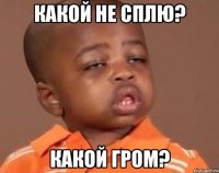 какой не сплю? какой гром?