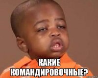  какие командировочные?