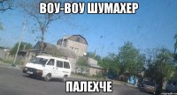 воу-воу шумахер палехче