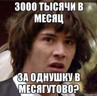 3000 тысячи в месяц за однушку в месягутово?