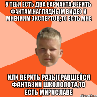 у тебя есть два варианта:верить фактам,наглядным видео и мнениям экспертов,то есть мне или верить разыгравшейся фантазии школолота,то есть мириславе