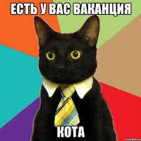 есть у вас ваканция кота