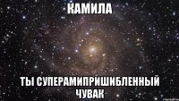 камила ты суперамипришибленный чувак