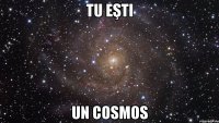 tu eşti un cosmos