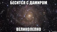 бесится с дамиром великолепно