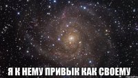  я к нему привык как своему