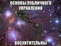 основы публичного управления восхитительны