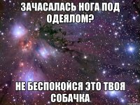 зачасалась нога под одеялом? не беспокойся это твоя собачка