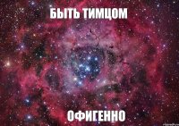 Быть тимцом ОФИГЕННО