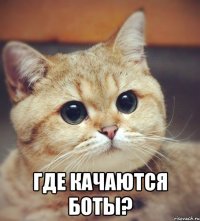  где качаются боты?