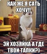 как же я сать хочу!! эй хозяйка а где твои тапки?)