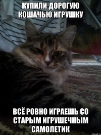 купили дорогую кошачью игрушку всё ровно играешь со старым игрушечным самолетик