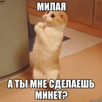 милая а ты мне сделаешь минет?