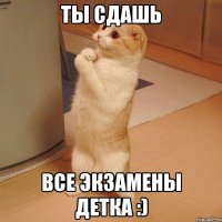 ты сдашь все экзамены детка :)