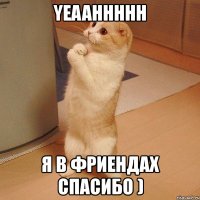 yeaahhhhh я в фриендах спасибо )