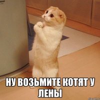  ну возьмите котят у лены