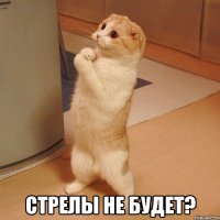  стрелы не будет?