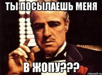 ты посылаешь меня в жопу???