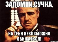 запомни,сучка, на тебя невозможно обижаться!