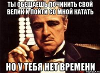 ты обещаешь починить свой велик и пойти со мной катать но у тебя нет времени