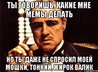 ты говоришь, какие мне мемы делать но ты даже не спросил моей мошки, тонкий, жирок валик